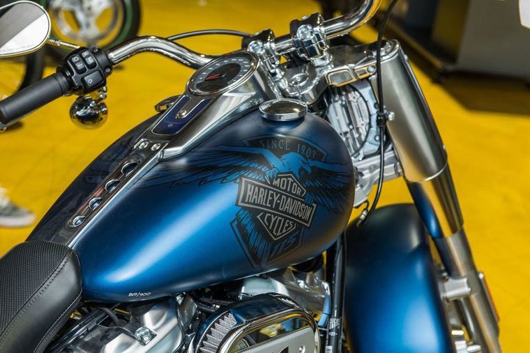 Thumb hog open house 00174