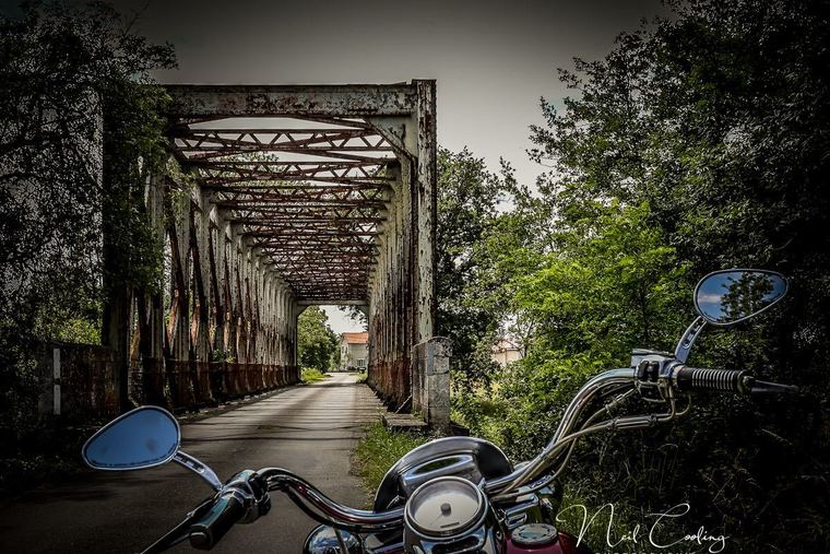 Thumb harley davidson road king 1194 2