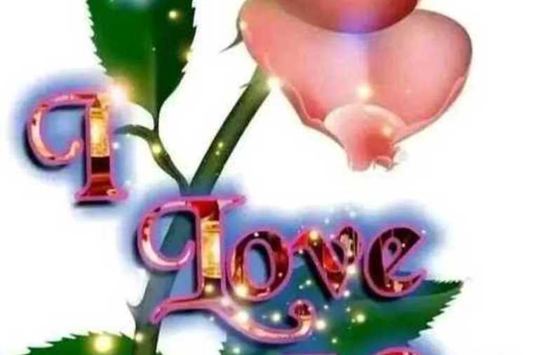 Thumb image a8b4b03a f6b4 4a80 bf25 bd0ac1c912b9
