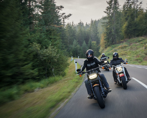 Thumb thursday galleryfaak ride out 2018p9060231