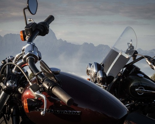 Thumb thursday galleryfaak ride out 2018p9060388