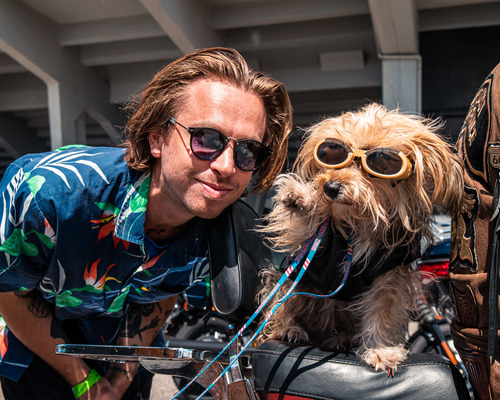 Thumb harley davidson   hog rally 2019   cascais   day 3   014
